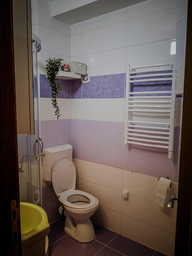 Star Apartman Brzece Kopaonik Экстерьер фото
